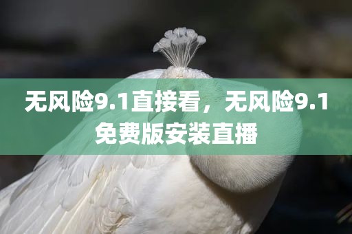 无风险9.1直接看，无风险9.1免费版安装直播