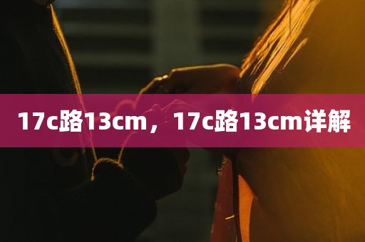 17c路13cm，17c路13cm详解