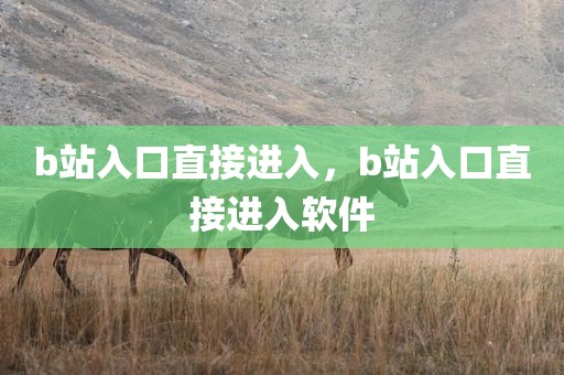 b站入口直接进入，b站入口直接进入软件