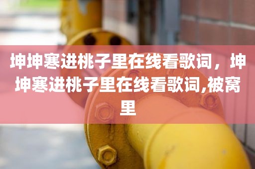 坤坤寒进桃子里在线看歌词，坤坤寒进桃子里在线看歌词,被窝里