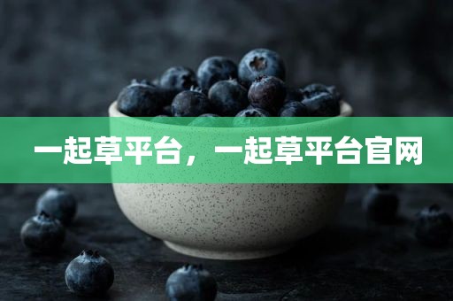 一起草平台，一起草平台官网