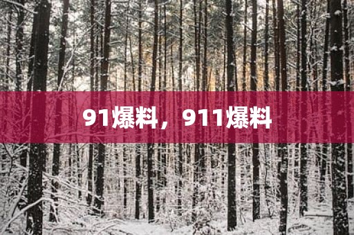91爆料，911爆料