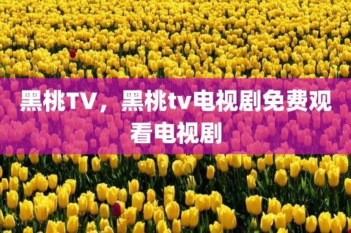 黑桃TV，黑桃tv电视剧免费观看电视剧
