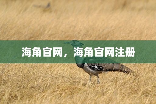 海角官网，海角官网注册
