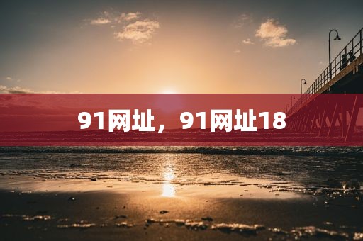 91网址，91网址18