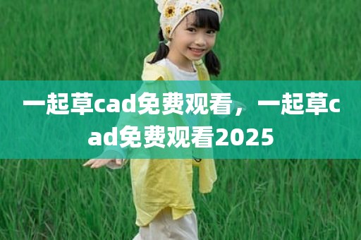 一起草cad免费观看，一起草cad免费观看2025