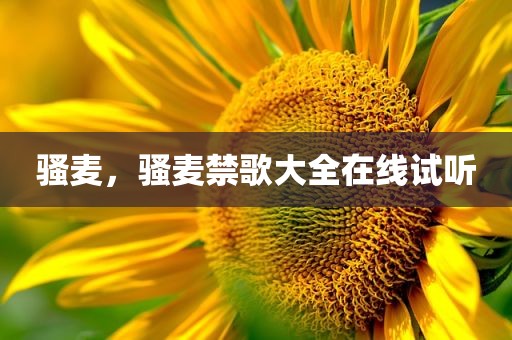 骚麦，骚麦禁歌大全在线试听