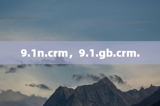 9.1n.crm，9.1.gb.crm.