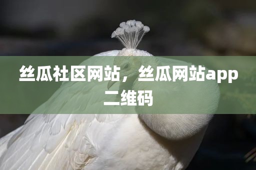 丝瓜社区网站，丝瓜网站app二维码