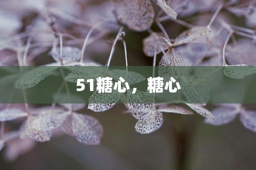 51糖心，糖心