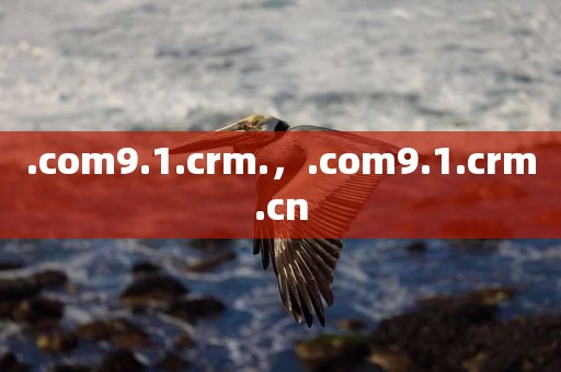 .com9.1.crm.，.com9.1.crm.cn