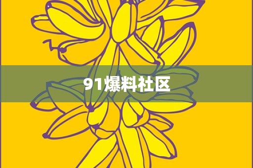 91爆料社区