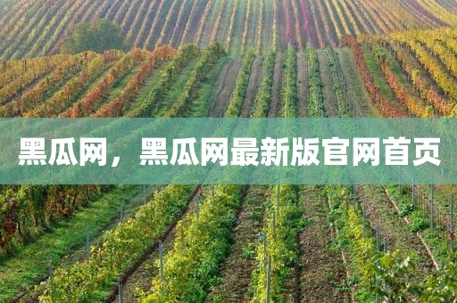 黑瓜网，黑瓜网最新版官网首页
