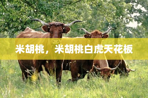 米胡桃，米胡桃白虎天花板