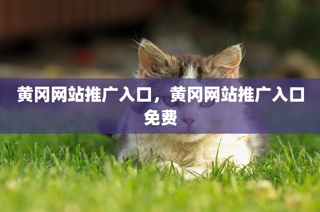 黄冈网站推广入口，黄冈网站推广入口免费