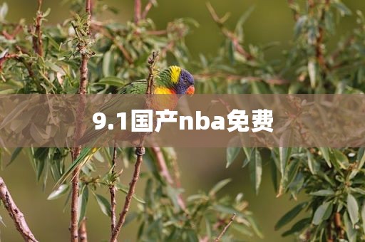9.1国产nba免费