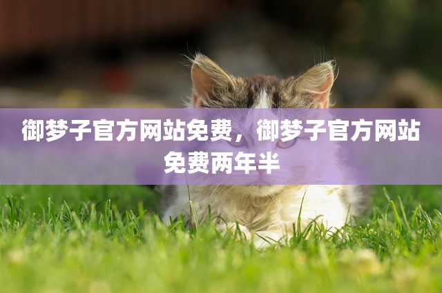 御梦子官方网站免费，御梦子官方网站免费两年半