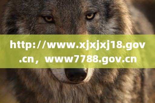 http://www.xjxjxj18.gov.cn，www7788.gov.cn