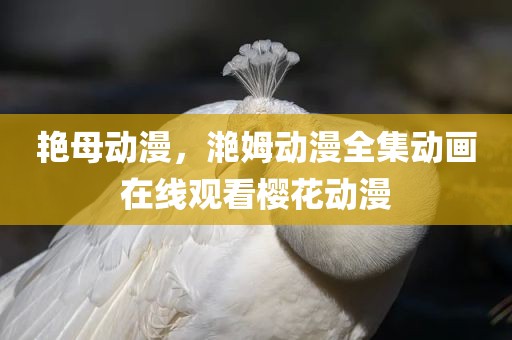 艳母动漫，滟姆动漫全集动画在线观看樱花动漫