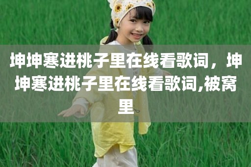 坤坤寒进桃子里在线看歌词，坤坤寒进桃子里在线看歌词,被窝里