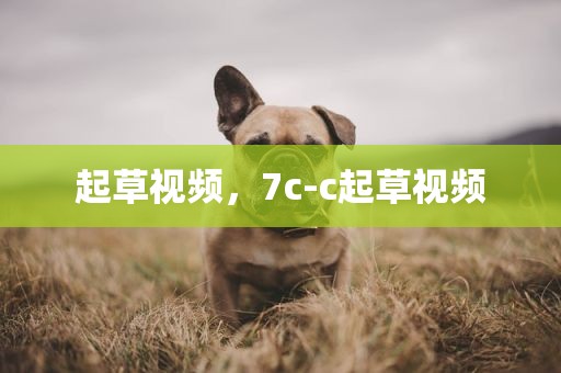 起草视频，7c-c起草视频