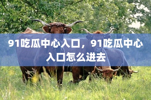 91吃瓜中心入口，91吃瓜中心入口怎么进去