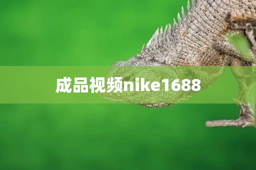 成品视频nike1688