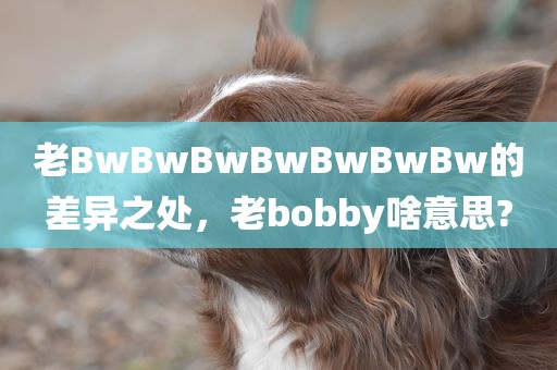 老BwBwBwBwBwBwBw的差异之处，老bobby啥意思?