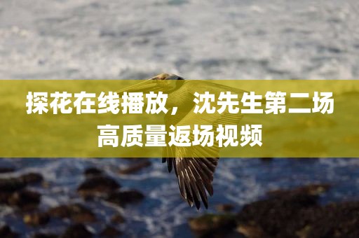 探花在线播放，沈先生第二场高质量返场视频