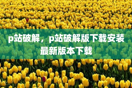 p站破解，p站破解版下载安装最新版本下载