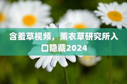 含羞草视频，薰衣草研究所入口隐藏2024