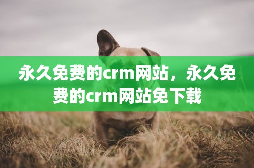 永久免费的crm网站，永久免费的crm网站免下载