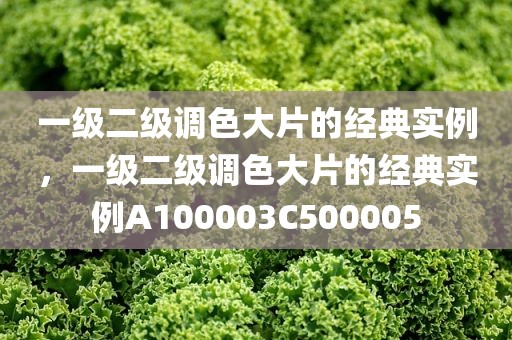 一级二级调色大片的经典实例，一级二级调色大片的经典实例A100003C500005