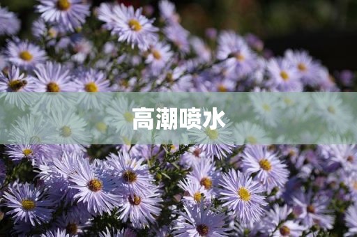 高潮喷水