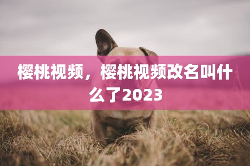 樱桃视频，樱桃视频改名叫什么了2023