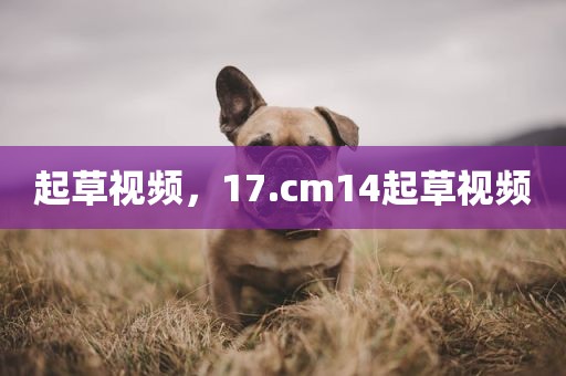 起草视频，17.cm14起草视频