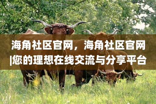 海角社区官网，海角社区官网|您的理想在线交流与分享平台