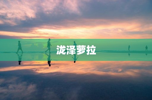 泷泽萝拉