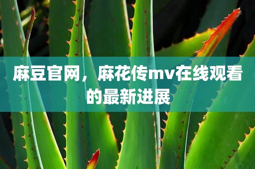 麻豆官网，麻花传mv在线观看的最新进展