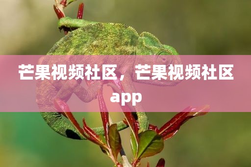 芒果视频社区，芒果视频社区app