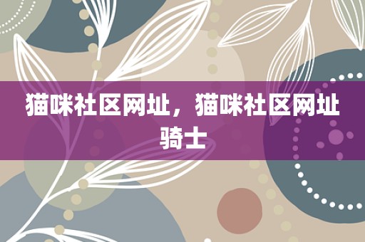 猫咪社区网址，猫咪社区网址骑士
