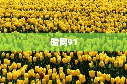 暗网91