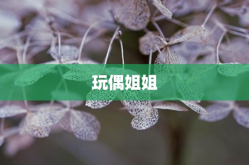 玩偶姐姐