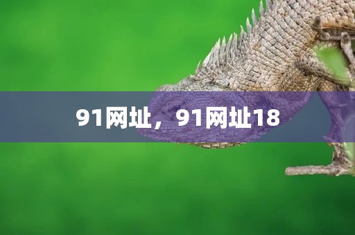 91网址，91网址18