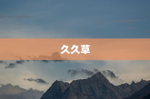 久久草