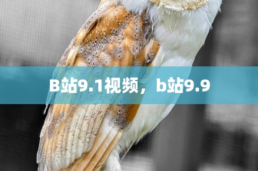 B站9.1视频，b站9.9