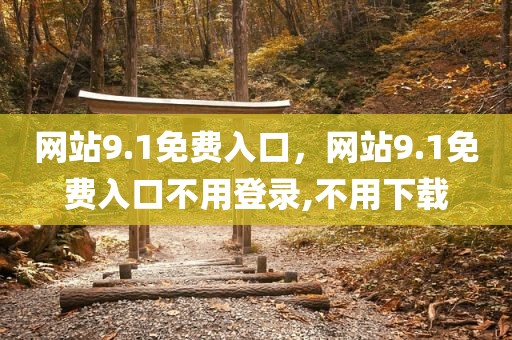 网站9.1免费入口，网站9.1免费入口不用登录,不用下载