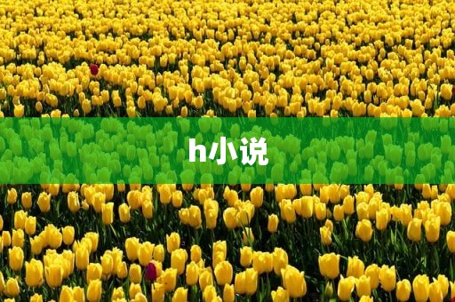 h小说