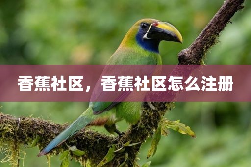 香蕉社区，香蕉社区怎么注册
