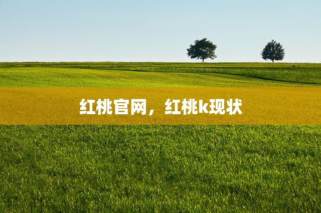 红桃官网，红桃k现状